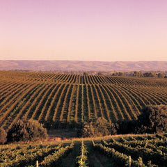 South Australian Wines